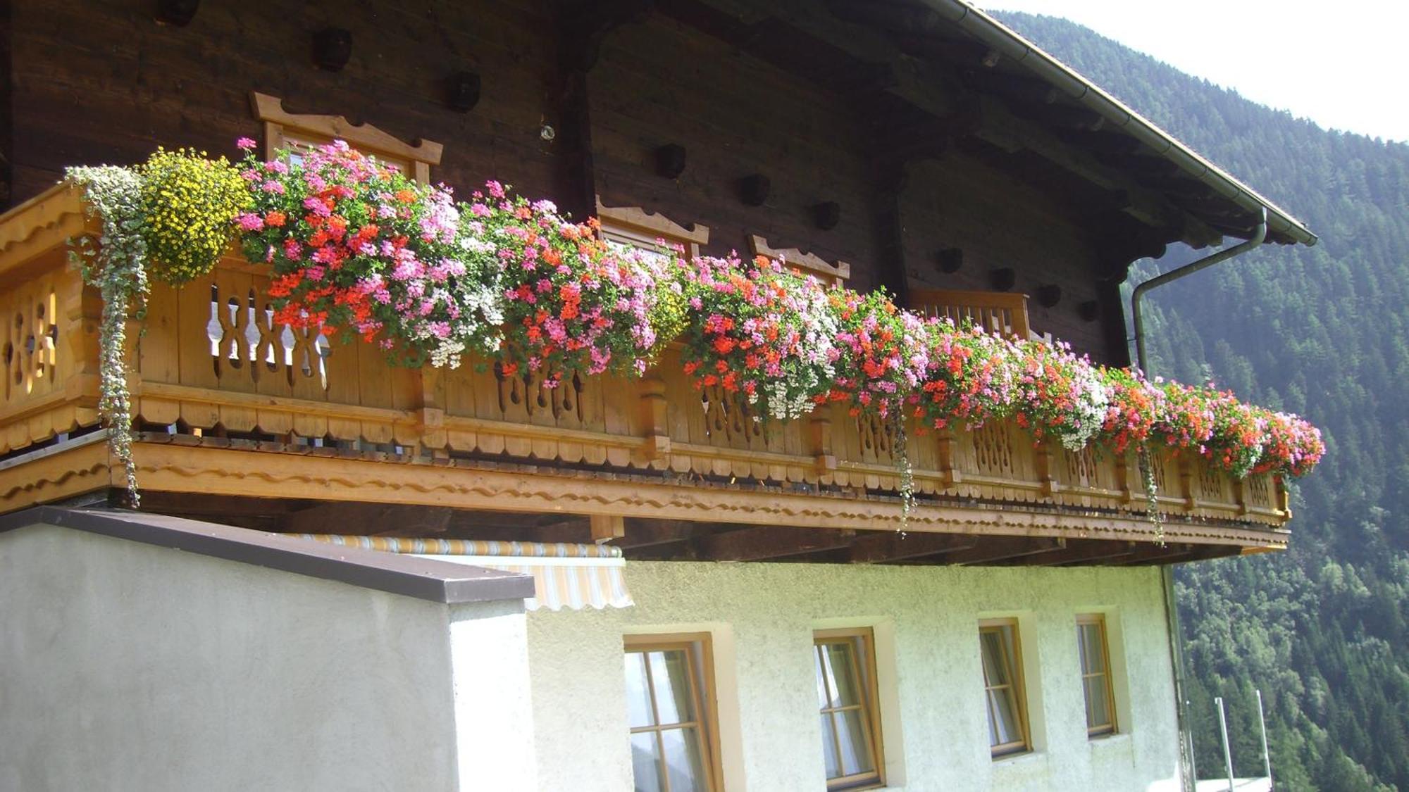 Ferienwohnungen Niederarnigerhof Familie Bauernfeind Kals-am Großglockner Exteriér fotografie